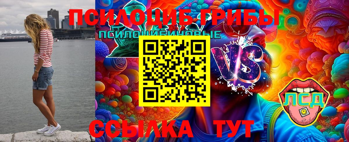 Псилоцибиновые грибы мухоморы Строитель