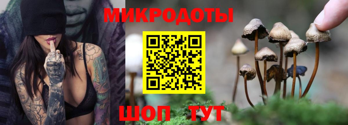 Псилоцибиновые грибы прущие грибы  Вход с VPN  Строитель 